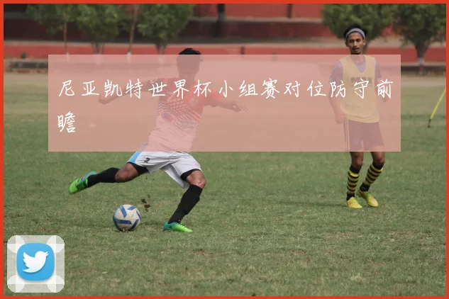 尼亚凯特世界杯小组赛对位防守前瞻