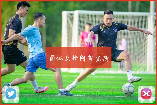 葡体交锋阿贾克斯