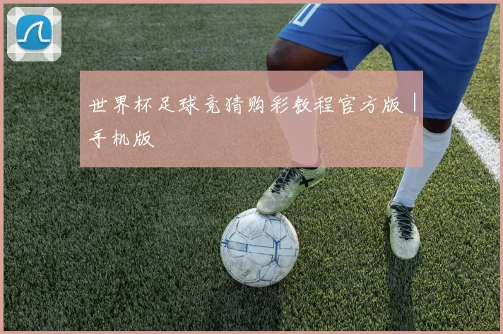 世界杯足球竞猜购彩教程官方版｜手机版