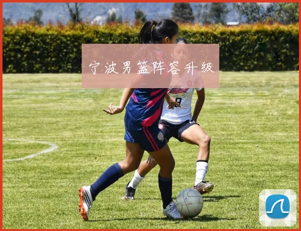 宁波男篮阵容升级