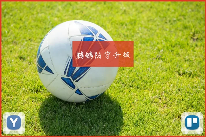 鹈鹕防守升级