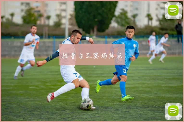 格鲁吉亚赛场焦点