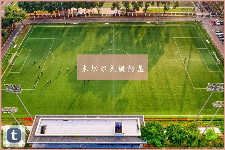 米切尔关键封盖
