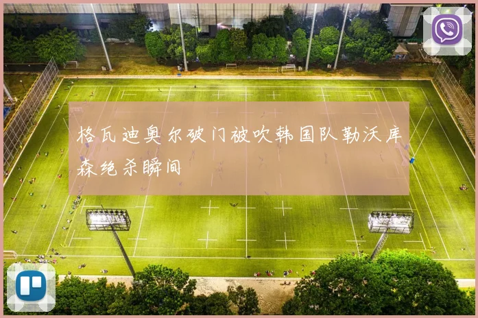 格瓦迪奥尔破门被吹韩国队勒沃库森绝杀瞬间