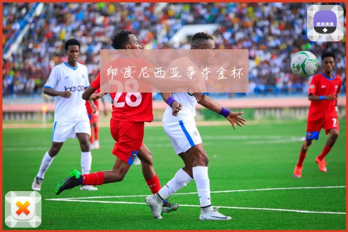 印度尼西亚争夺金杯