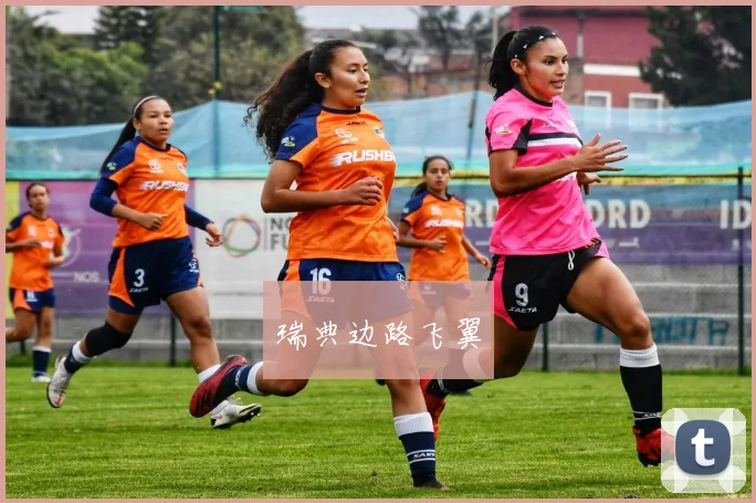 瑞典边路飞翼