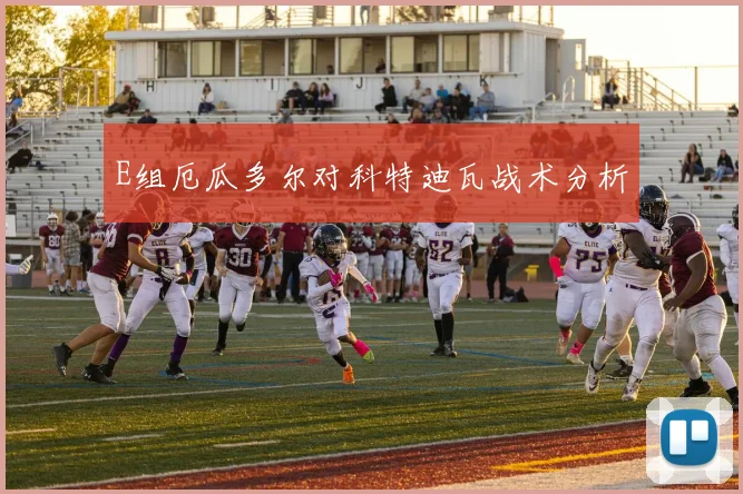 E组厄瓜多尔对科特迪瓦战术分析