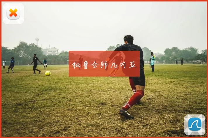 秘鲁会师几内亚