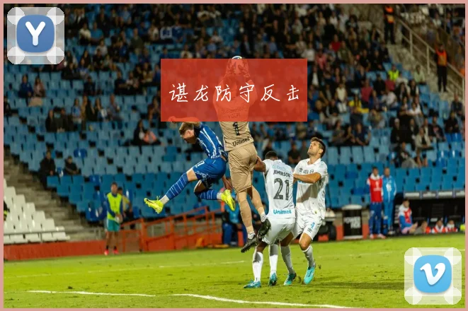 谌龙防守反击