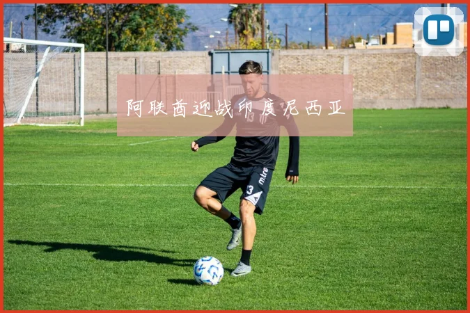 阿联酋迎战印度尼西亚