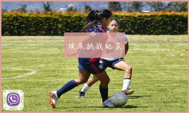 埃及挑战纪录