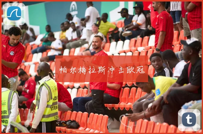 帕尔梅拉斯冲击欧冠