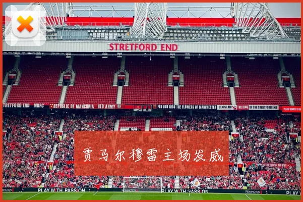 贾马尔穆雷主场发威