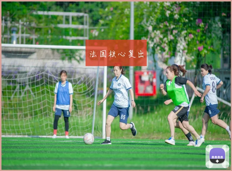法国核心复出