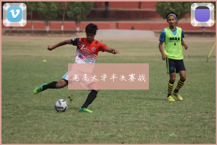 老虎大学半决赛战