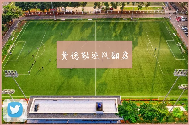 费德勒逆风翻盘