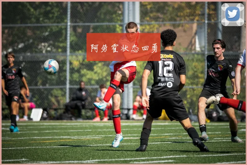 阿劳霍状态回勇