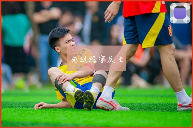 老挝稳守反击