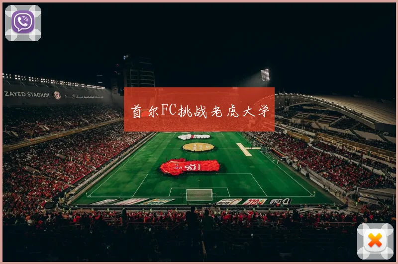 首尔FC挑战老虎大学