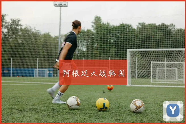 阿根廷大战韩国