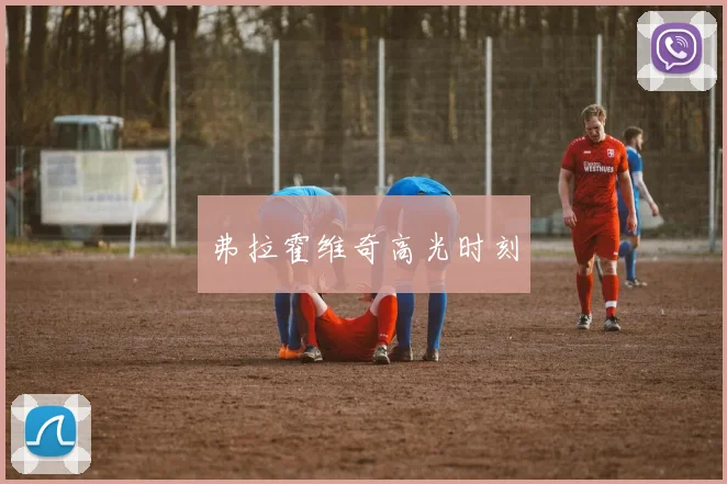 弗拉霍维奇高光时刻
