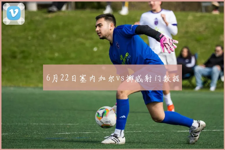 6月22日塞内加尔vs挪威射门数据