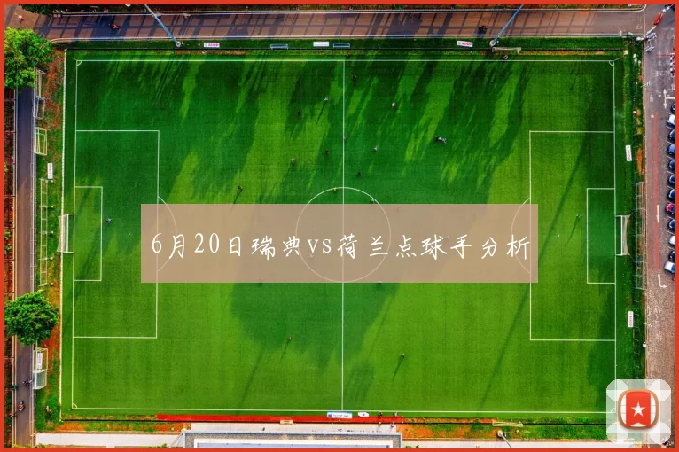 6月20日瑞典vs荷兰点球手分析