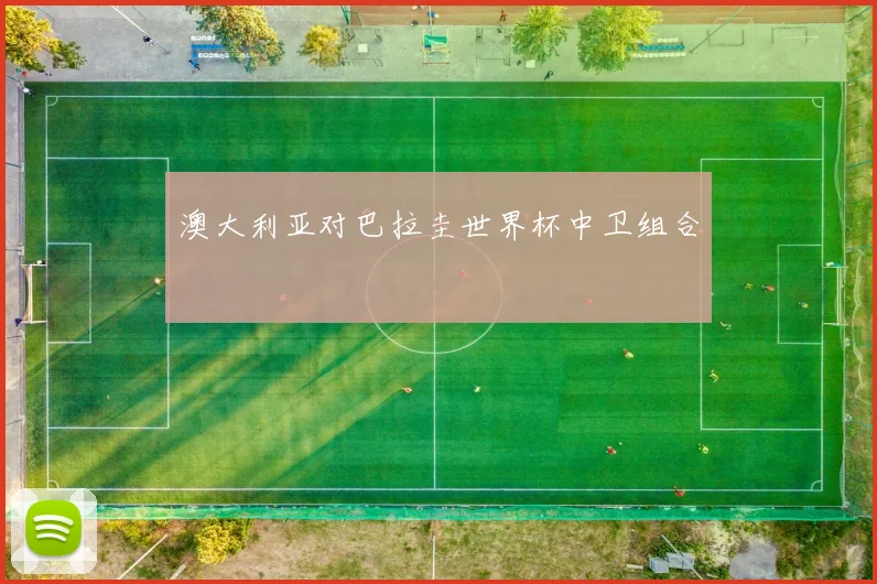 澳大利亚对巴拉圭世界杯中卫组合