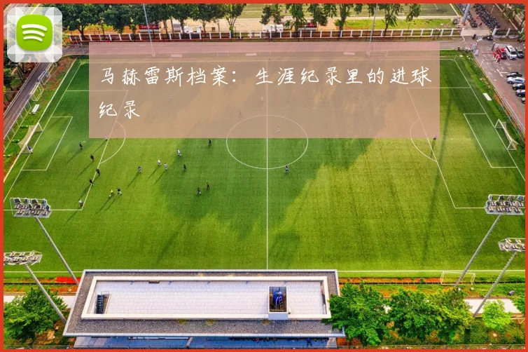 马赫雷斯档案：生涯纪录里的进球纪录