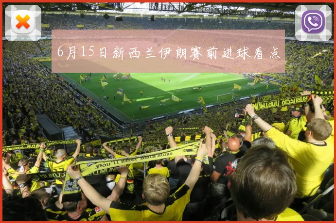 6月15日新西兰伊朗赛前进球看点