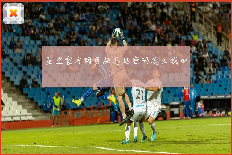 星空官方网页版忘记密码怎么找回